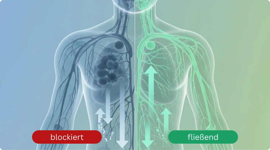 Clogged vs Unclogged lymph system